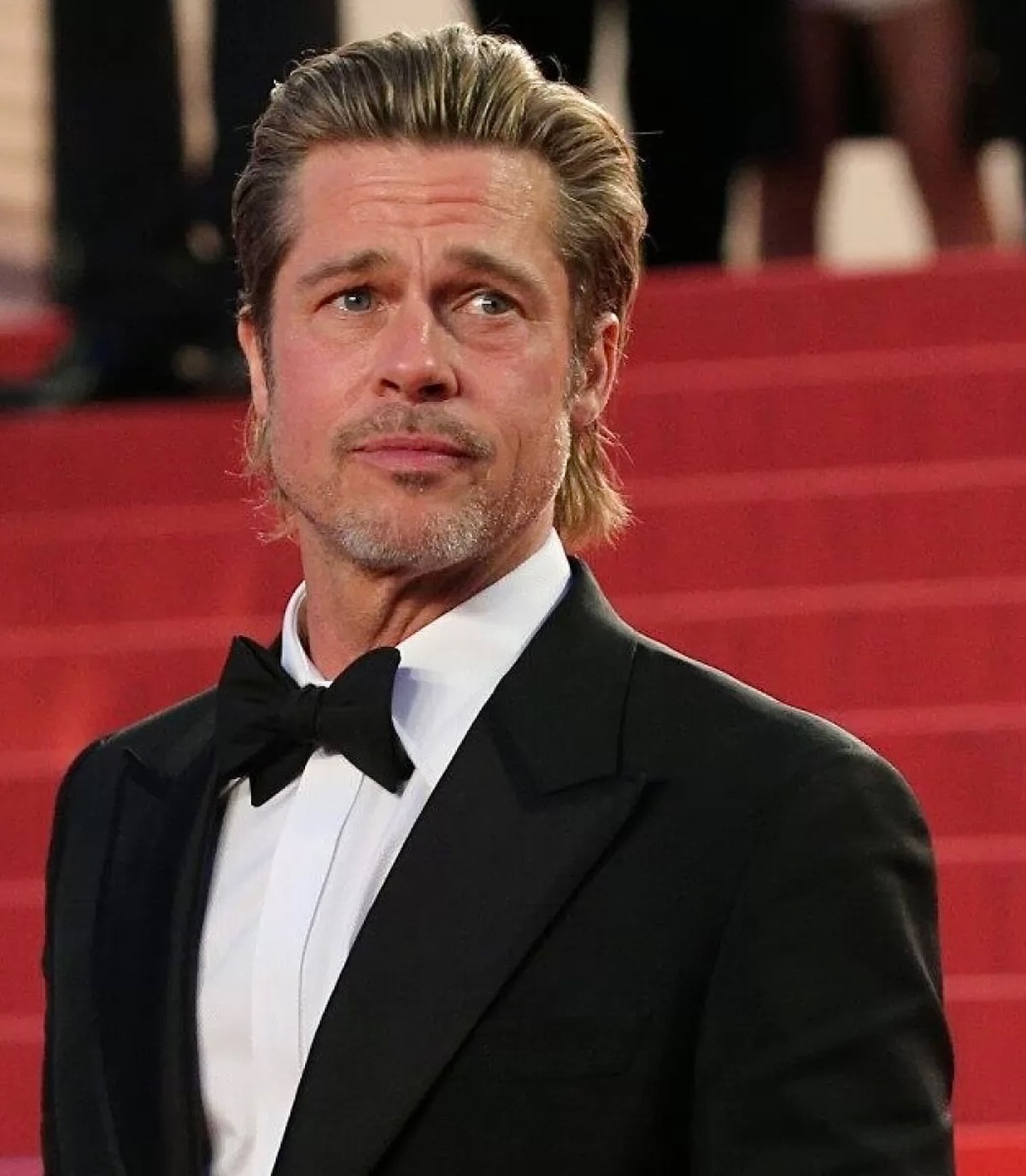 Bradley Pitt gala red carpet